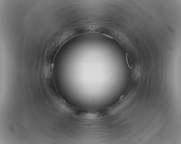 X0000115770236200911131223