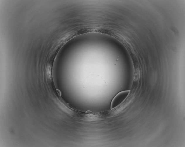 X0000115770238200911131223