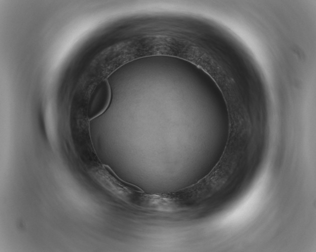 X0000115770239200911131223