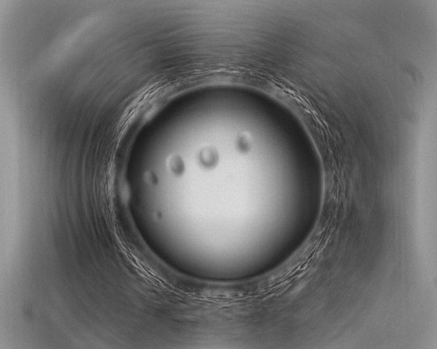 X0000115770242200911131223