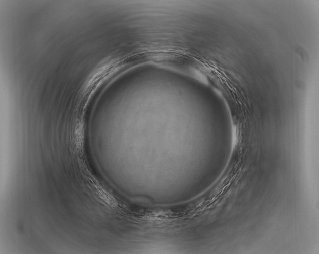 X0000115770243200911131223