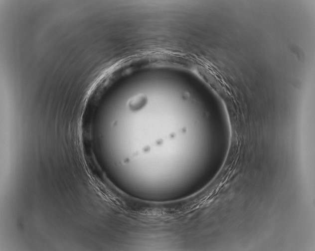 X0000115770244200911131223