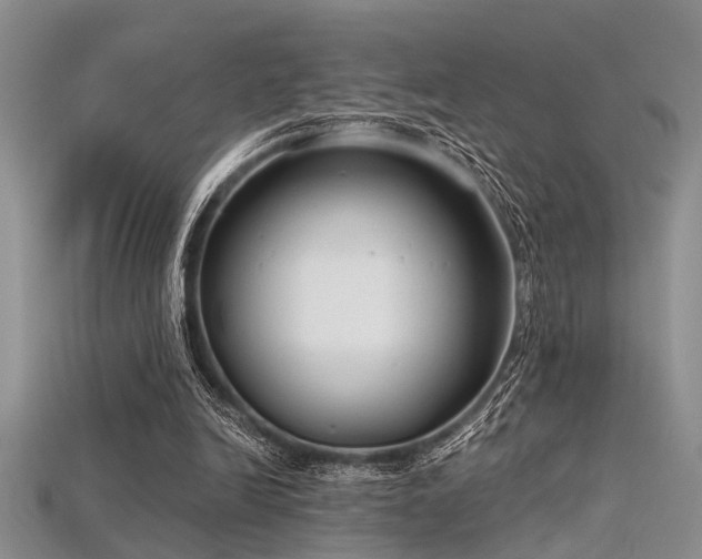 X0000115770246200911131223