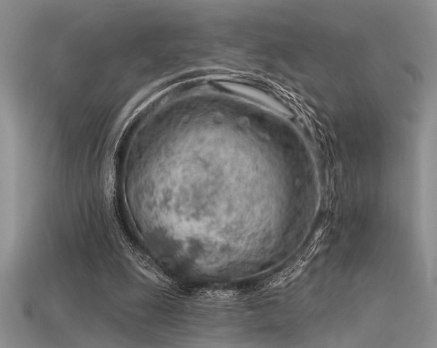 X0000115770247200911131223