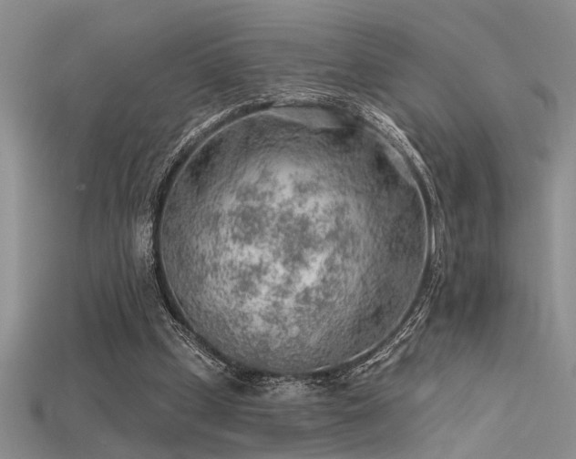 X0000115770249200911131223