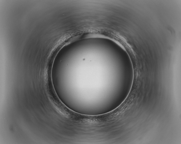 X0000115770250200911131223