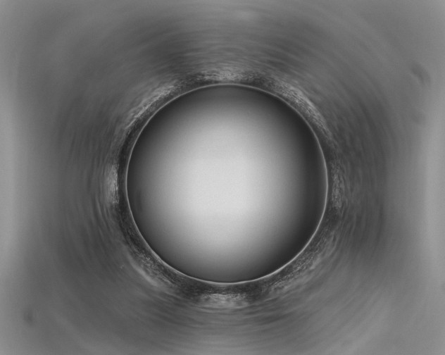 X0000115770251200911131223