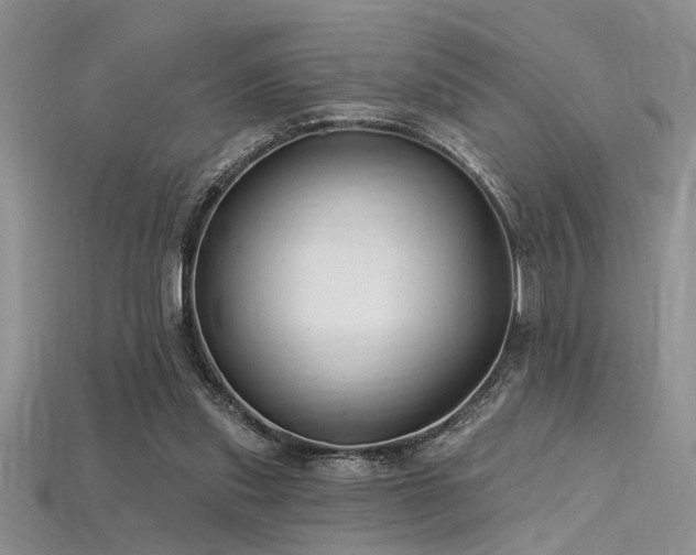 X0000115770253200911131223