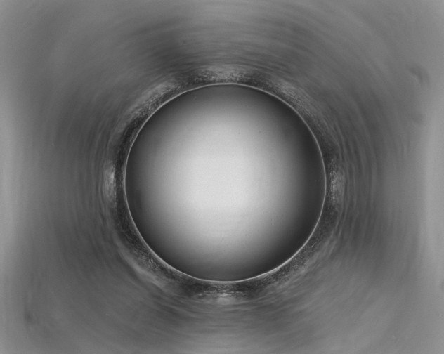 X0000115770254200911131223