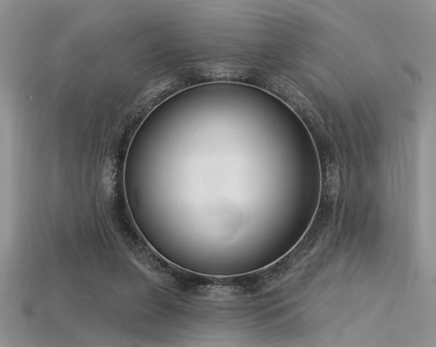 X0000115770255200911131223