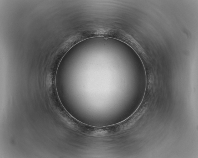 X0000115770257200911131223