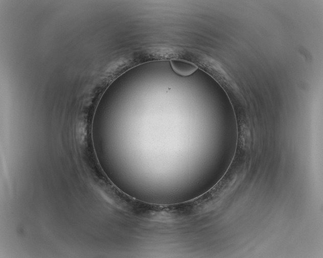 X0000115770259200911131223