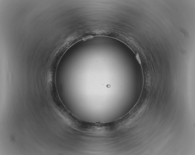 X0000115770260200911131223