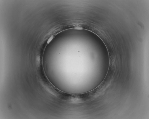X0000115770262200911131223