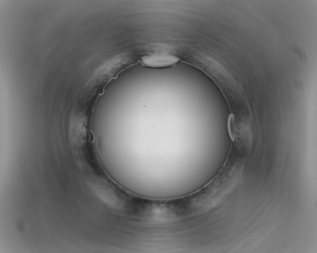X0000115770264200911131223