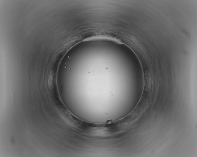 X0000115770266200911131223
