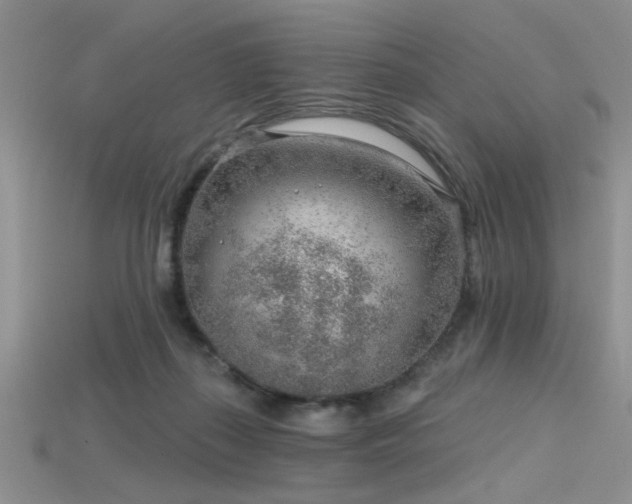 X0000115770267200911131223