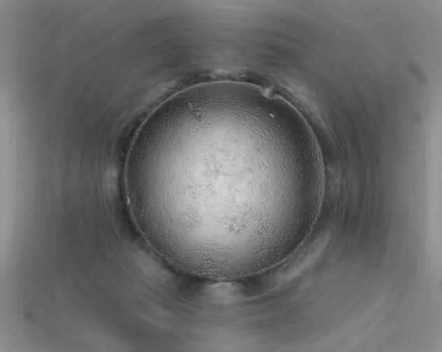 X0000115770269200911131223