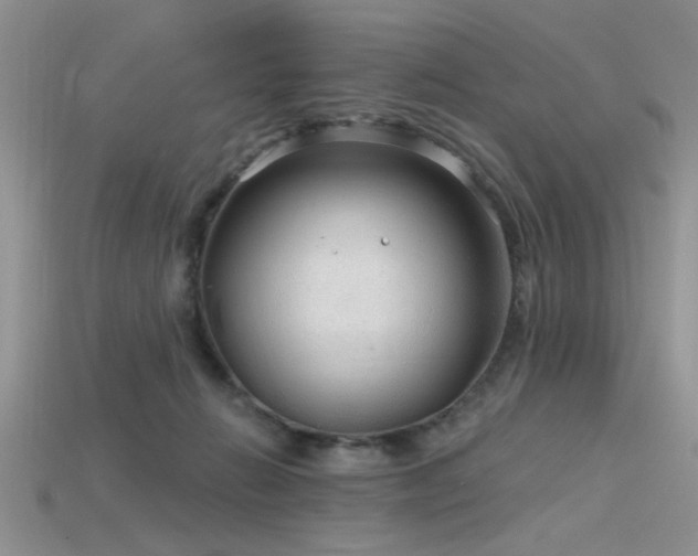 X0000115770270200911131223