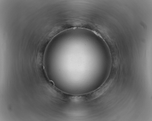 X0000115770273200911131223