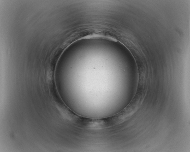 X0000115770274200911131223