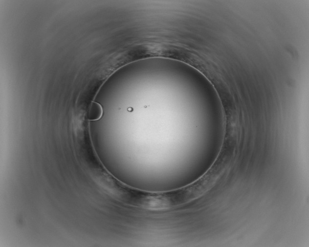 X0000115770275200911131223