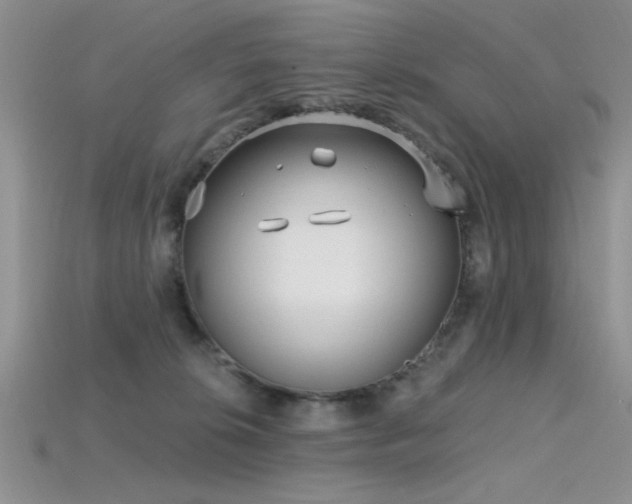X0000115770276200911131223
