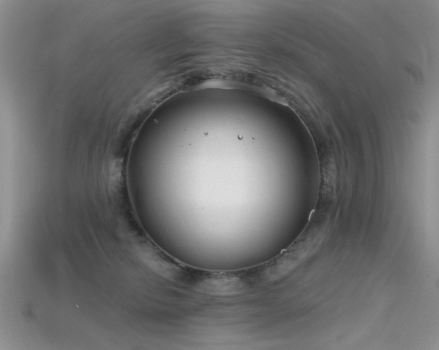 X0000115770278200911131223