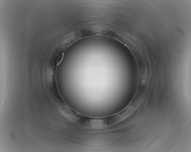 X0000115770279200911131223