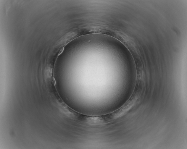 X0000115770281200911131223