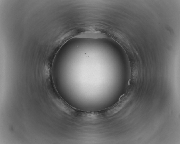 X0000115770282200911131223