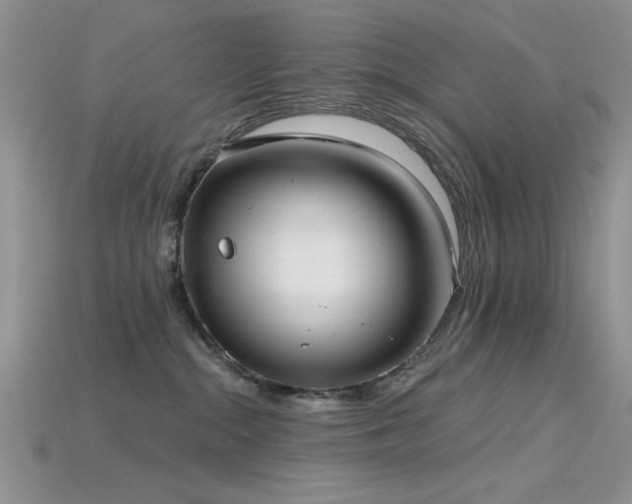 X0000115770284200911131223