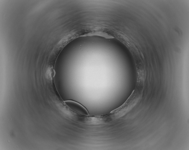 X0000115770286200911131223