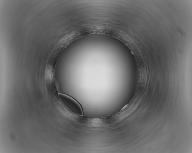 X0000115770287200911131223