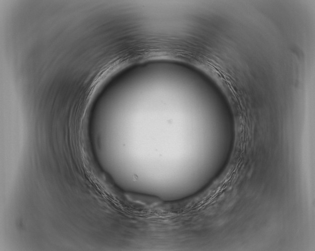 X0000115770289200911131223
