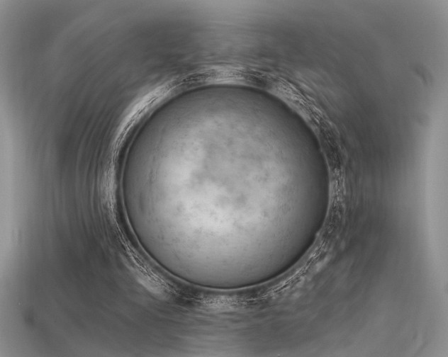 X0000115770293200911131223