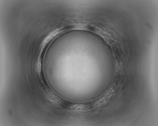 X0000115770294200911131223