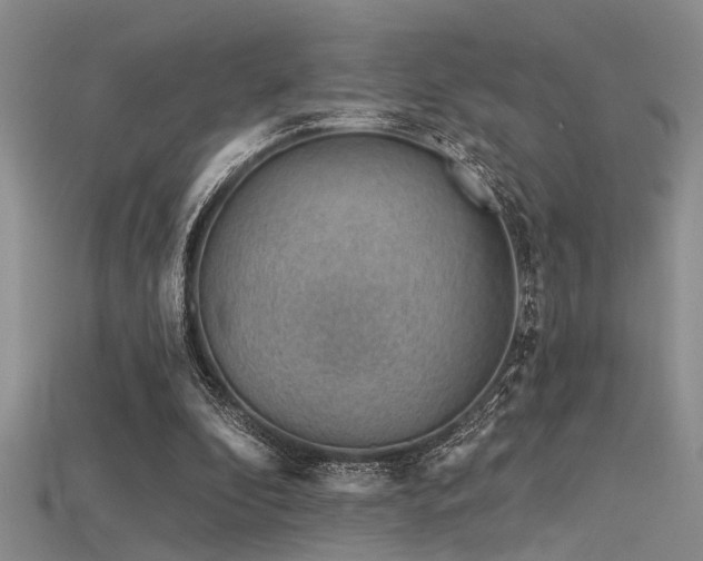 X0000115770296200911131223