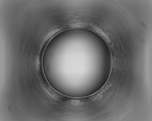 X0000115770298200911131222