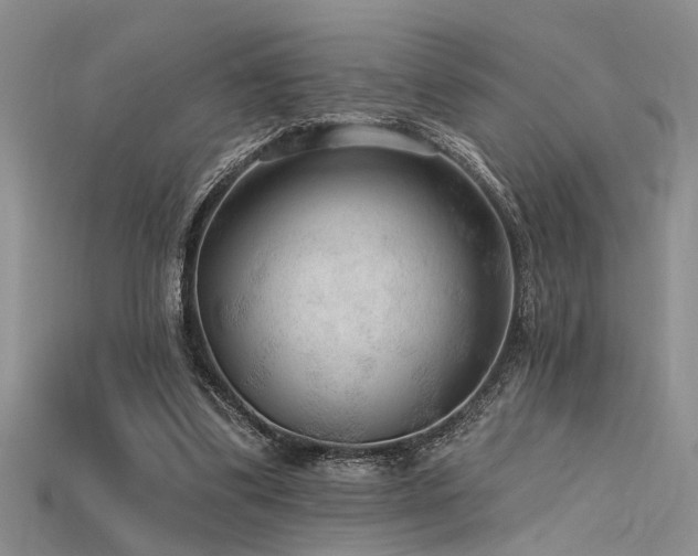 X0000115770299200911131222