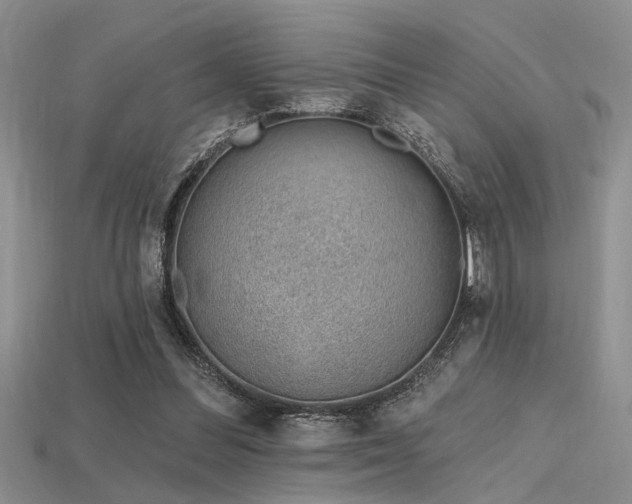 X0000115770300200911131222