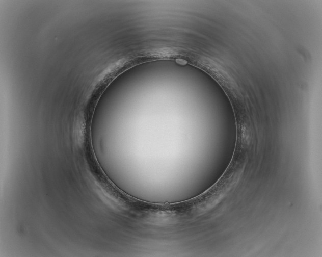 X0000115770304200911131222