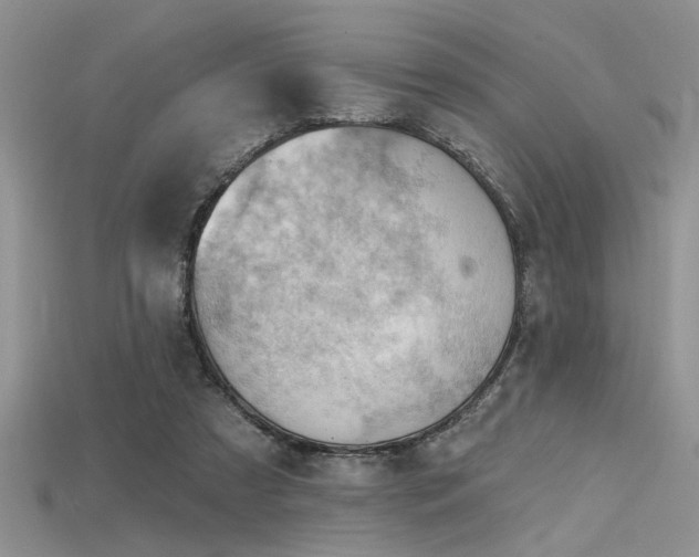 X0000115770305200911131222