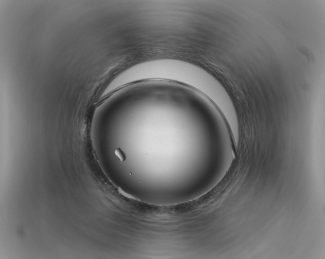 X0000115770308200911131222