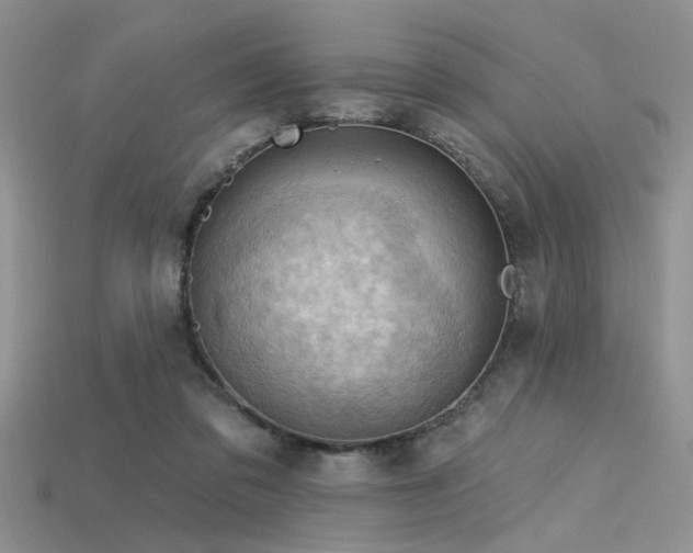 X0000115770309200911131222