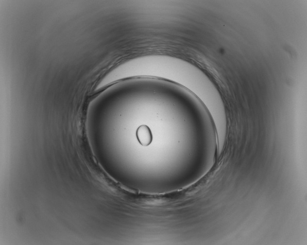 X0000115770313200911131222