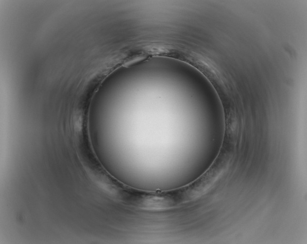 X0000115770315200911131222