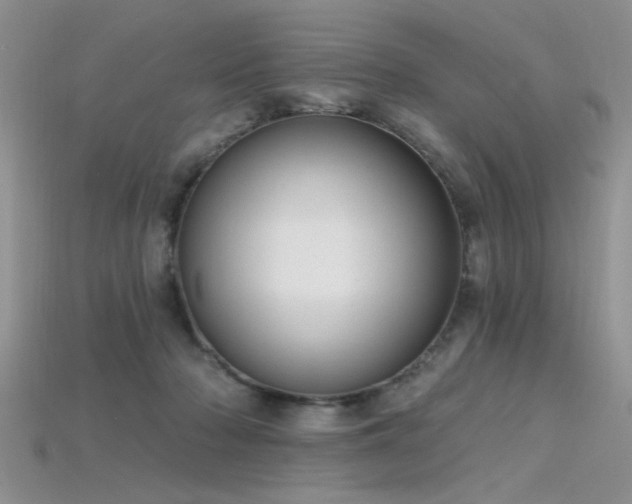 X0000115770318200911131222