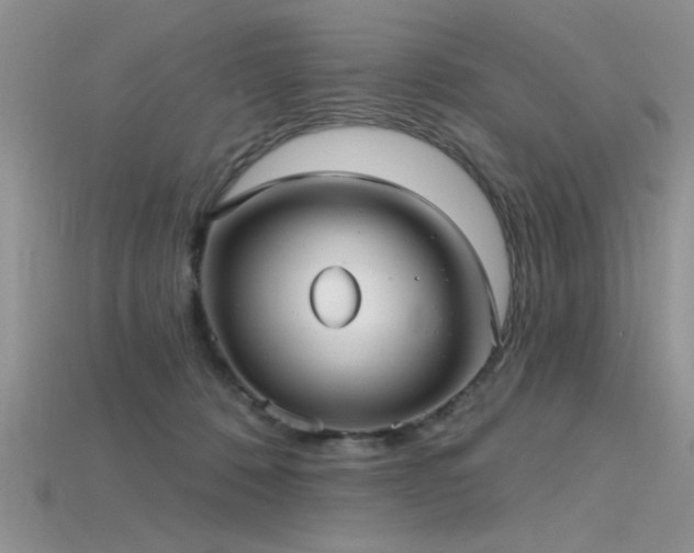 X0000115770320200911131222