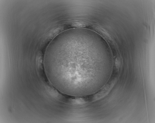 X0000115770322200911131222